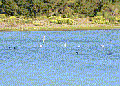Laguna Torca Laguna Torca