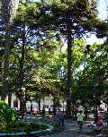 Plaza de Armas Plaza